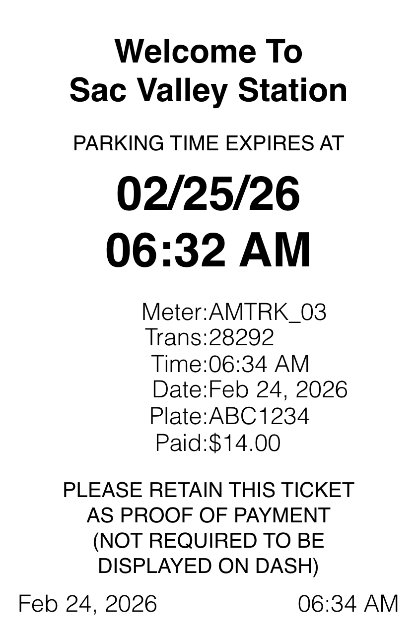 Editable Parking Receipt template preview, free receipt generator
